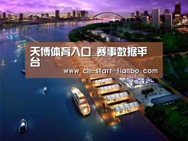 案例展示八