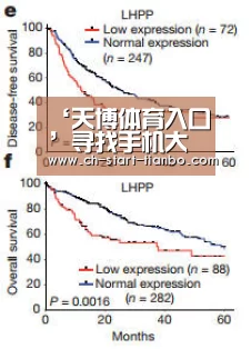 ‘天博体育入口’寻找手机大作战第28关攻略 寻找手机大作战第28关怎么过(图2) 天博体育官网登录入口