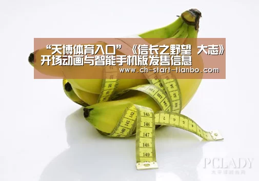 天博体育手机版