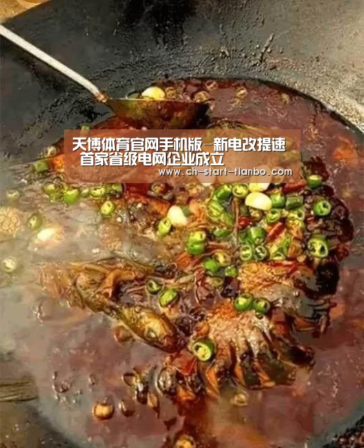天博体育官网手机版-新电改提速 首家省级电网企业成立(图3) 天博体育官网登录入口