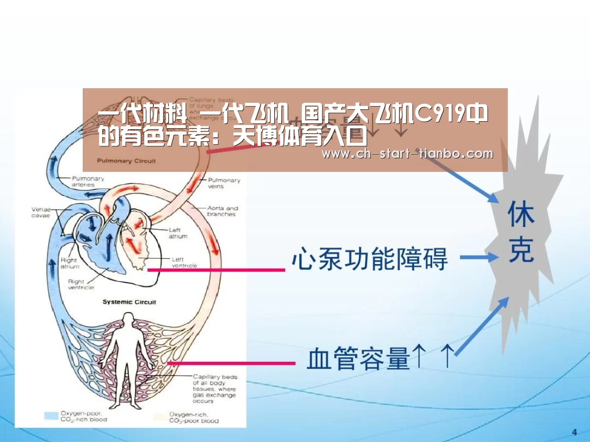 天博体育官网手机版