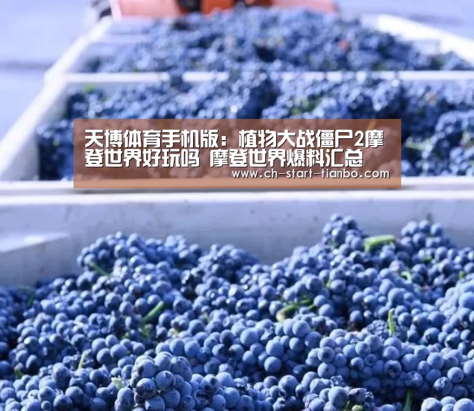 天博体育入口